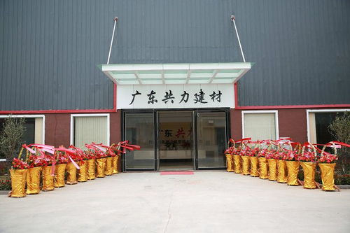 广东供应环保型3mm树脂瓦塑钢瓦仿古瓦 质量保证 塑料建材厂家
