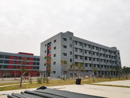承接湖南仿古建筑涂料石感漆水包砂施工工程 工业厂房翻新施工 自建别墅外墙涂料包工包料施工